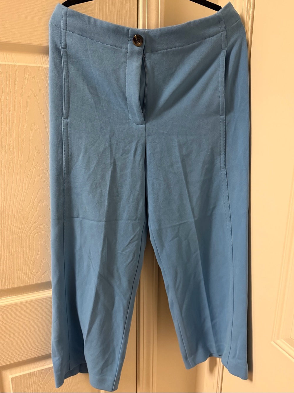 Ann Taylor Wide-Leg Pants in Sky Blue